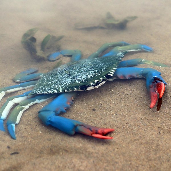 Haloppe Simulation Hermit Crab Havdyr PVC Model Skrivebords Dekoration Uddannelse Børns Legetøj King Crab