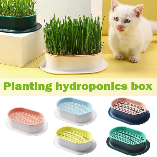 Hydroponinen kissanruoholaatikko, muovinen kissanminttu kissanruoholaatikko, maaperätön kissanruoholaatikko kissojen välipalatarjotin White Pink