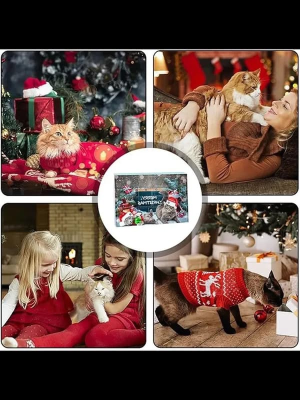 Sett med 1 katte-adventskalender i vindusboks til jul