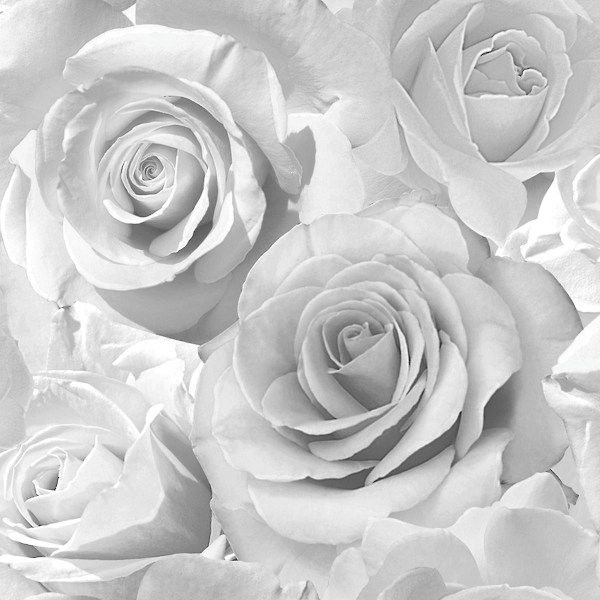 Madison Rose Glitter Floral Tapet Muriva Grey/Silver