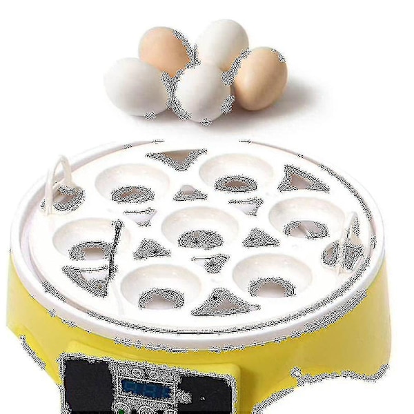 Automatic Poultry Incubator for 7 Eggs with Temperature Control - Chicken Hatcher