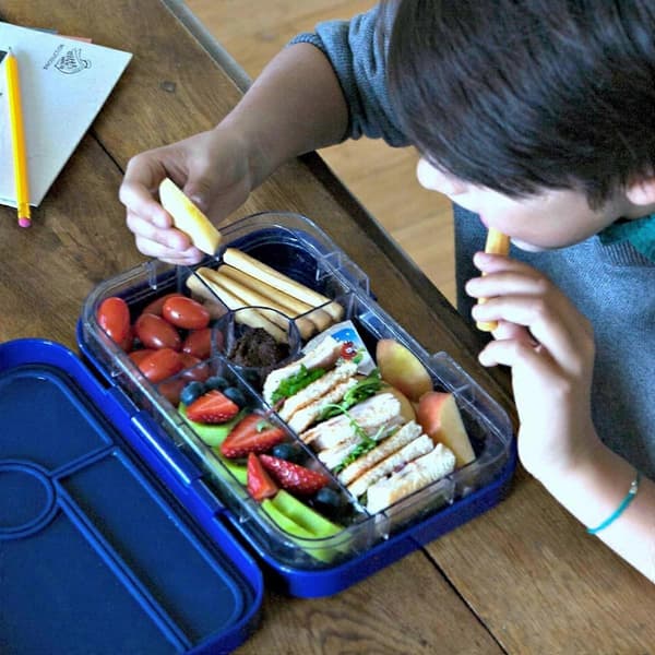 Yumbox Panino Matboks med 4 rom - Neptune Blue