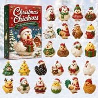 Julekledd kylling adventskalender 2026 – 2D-overraskelsesboks
