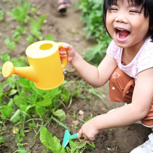 Kpl Lasten set, kastelukeitin lapio harava kantolaukulla, puutarhalelut lahja baby esikouluikäisille pojille - kuten kuvassa, 6 kpl