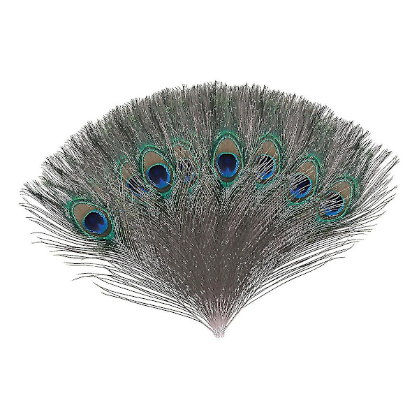 Naturlige Store Påfuglefjer Til Dekoration Cy 10 pcs x S(20-30CM)