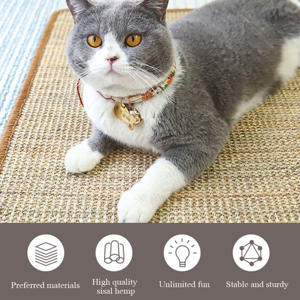 Rektangulär klösbräda för katter, repsäker skyddssoffa för små och medelstora katter, primär Primary 50X80cm
