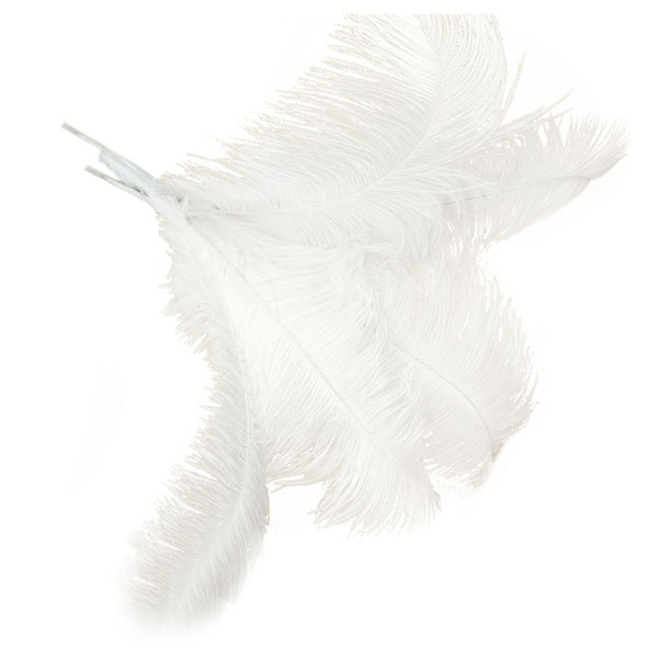 10 stk Strudsefjer Bryllup Fest Dekoration Hvid 45-50cm