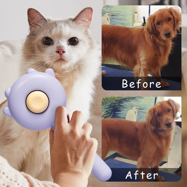 Magic Pet Comb, 2023 New Pet Hårrengöringsborste, Cat Grooming Borste Självrengörande Slicker Comb Långa Korta Husdjursmassageborstar Purple