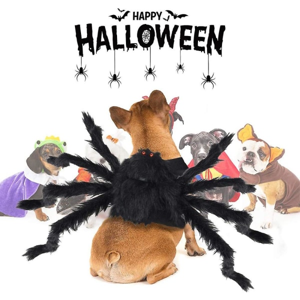 Halloween Tarantula kostymer, Spider Dog Costume, Dyreklær Carnival
