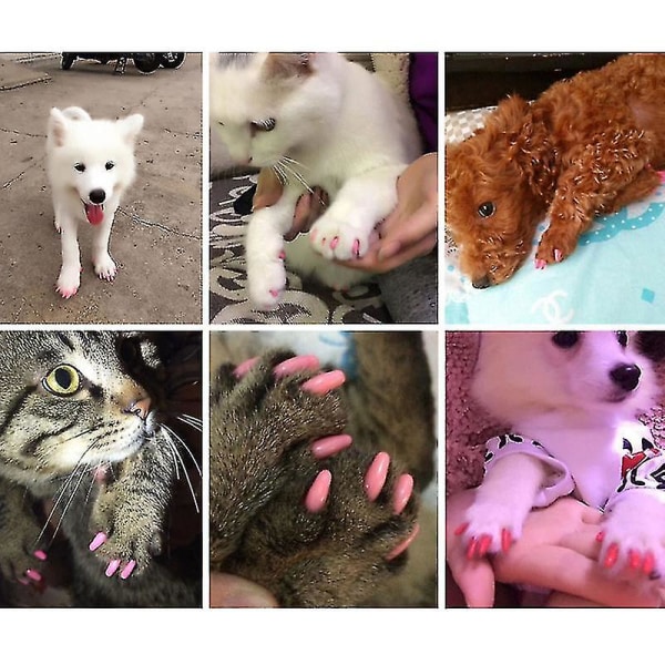 40 stk. Bløde kattehunde neglehætter til kæledyrspoteklobeskytter neglebetræk med gratis limpåføring M
