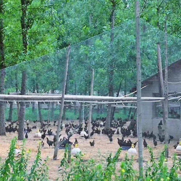 Tungt anti-fuglenet net havehegn og afgrøder Beskyttende hegnsnet Anti-fugle Hjorte Kat Hund Kylling 2x10m