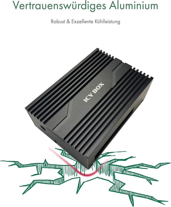 ICY BOX 60655 Beskyttelsesetui til Raspberry Pi 5