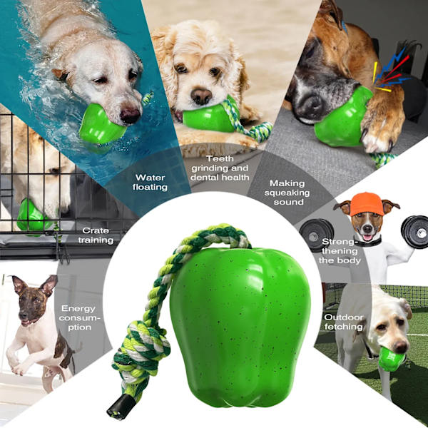 Dog Toy - Phoesky - Interactivity - Fruit Shape - Bite Resistant - Squeak Function