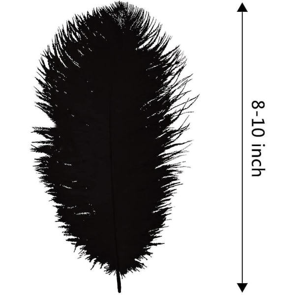 20 stk Naturlig svart strutsefjær Plumes 8-10 tommer (20-25 cm) Bulk for fest, påske, Gatsby dekorasjoner