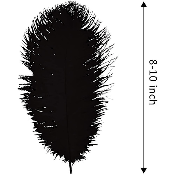 20 stk Naturlige Sorte Strudsefjer 8-10 tommer (20-25 cm) Bulk til Fest, Påske, Gatsby Dekorationer