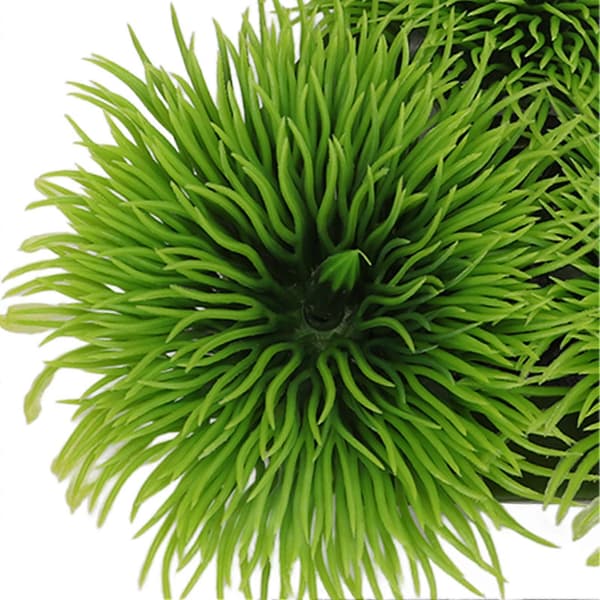 Betta-lehtityynysarja, lepopatjasarja, katkarapu, kultakala