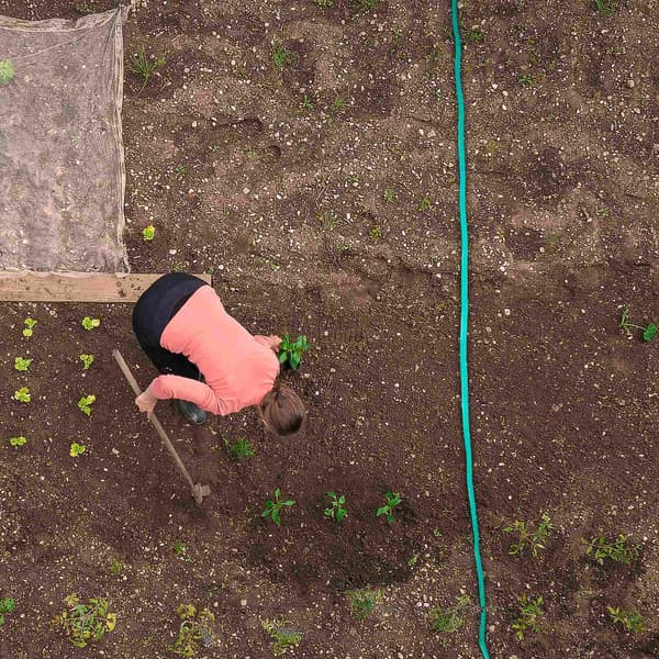 Flat irrigation hose, 20m – Even water distribution 760