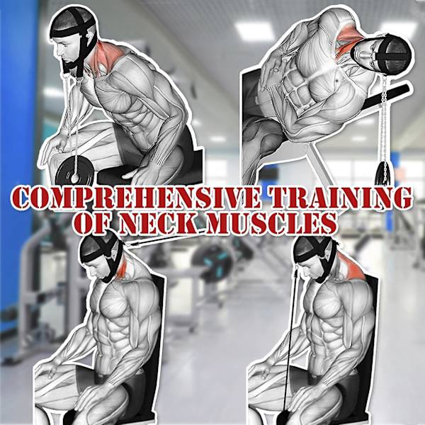 Huvud- och nacktränare Justerbar Nackövningsrem Huvudsele Viktlyftningsbälte Huvudträningbälte För Fitness Återhämtning Efter Huvudskada