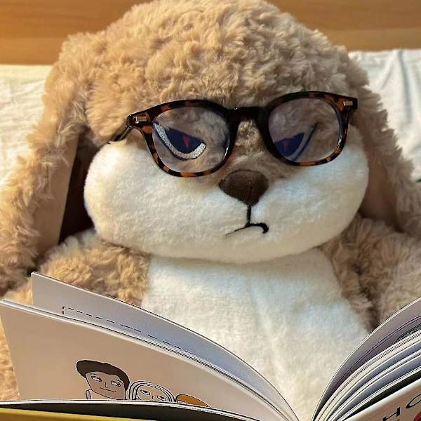 Ny 40 cm Sint Sint Kanin Stor Størrelse Plysj Leke Søt Dyr Plushie Dukke Kawaii Myk Stoppet Modell Romdekor Bursdagsgaver 66cm