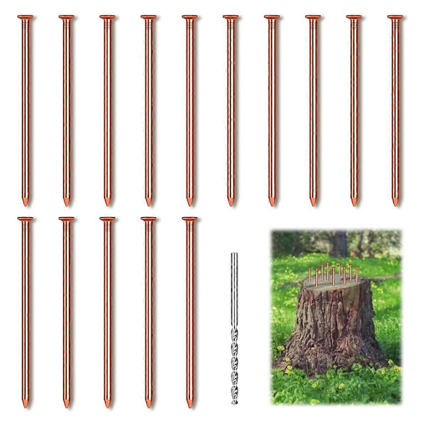 15 Copper Nails for Killing Tree Stumps, 8 cm