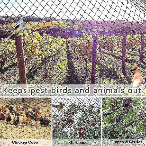 Tungt anti-fuglenet net havehegn og afgrøder Beskyttende hegnsnet Anti-fugle Hjorte Kat Hund Kylling 2x10m