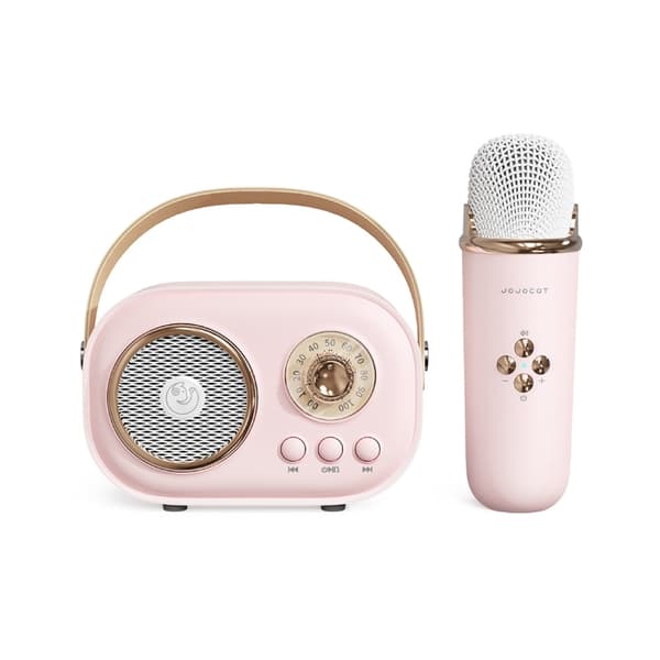 C20 Plus Multifunksjonell Karaoke Bluetooth-høyttaler med mikrofon (Rosa)