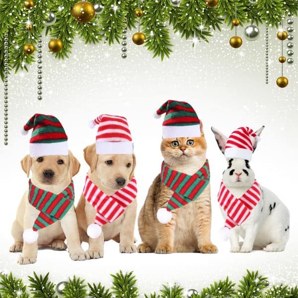4-pack kattmössa med halsduk Hundjulmössa och halsduk randig jul
