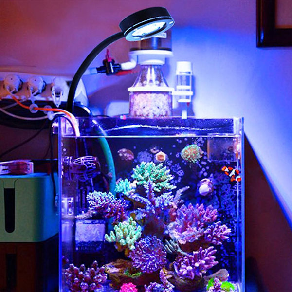 Akvarie Reef Led Lys Fisk Til Tank Marine Saltvand Havvand Koraller Lys