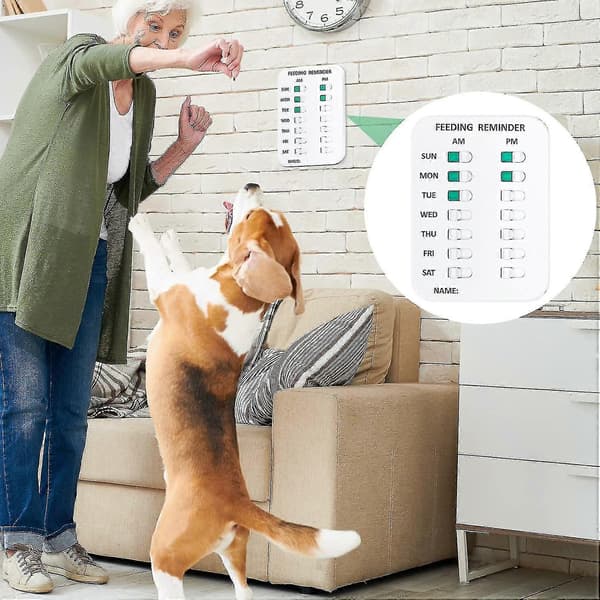 Hundemadspåmindelse, Magnetisk Påmindelsesmærke, Formiddag/eftermiddag Daglig Indikationsoversigt Mad Dine Kæledyr, Køleskabsmagneter Kattefoderpåmindelse - Ri A
