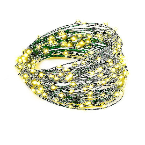 30m 50m 100m LED Fejelygter Dekoration Soveværelse Dekoration Nytårs Garland Green Warm White 30M With controller