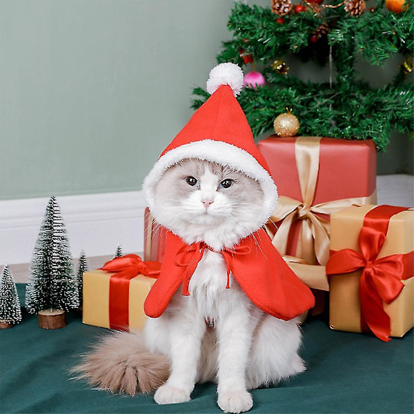 Julkapp för husdjur, vinterkläder för katt