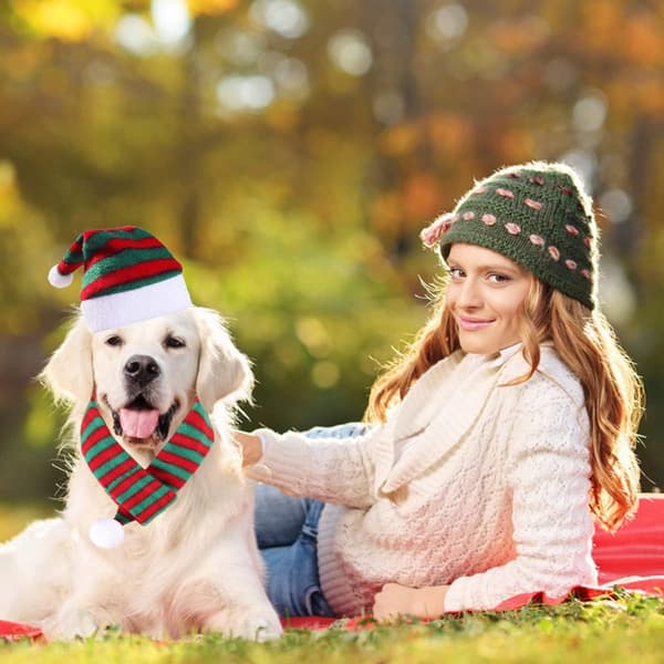 4-pack kattmössa med halsduk Hundjulmössa och halsduk randig jul