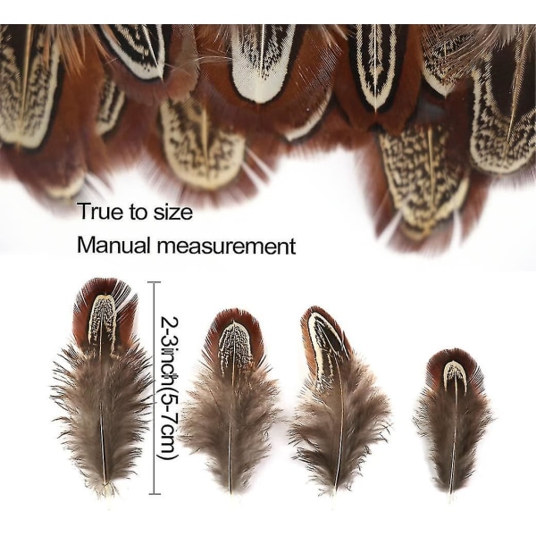 100 stk 2-3 tommer naturlige fasanfjær Bulk Ulike farger Naturlig fjær Håndverk Klær Hatt Sy Dekorering