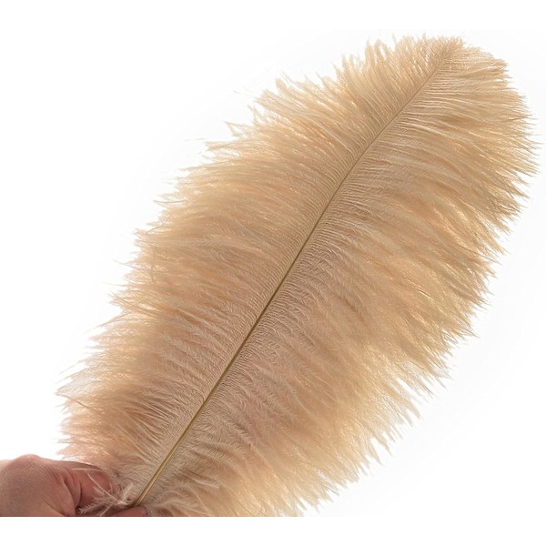 ##/24 kappaletta 25-30 cm (10-12 tuumaa) luonnonvalkoisia strutsin sulkia##/