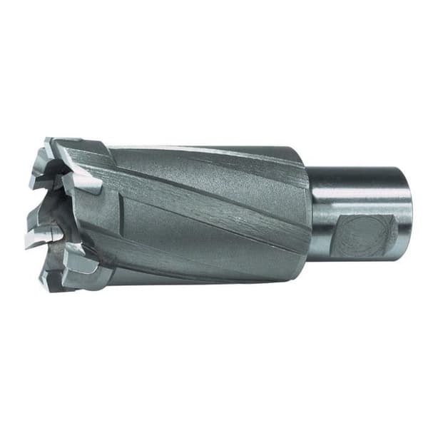 Ruko - Weldon HSS-holder Diameter 30 mm Længde 50 mm - 108730 Grå 145