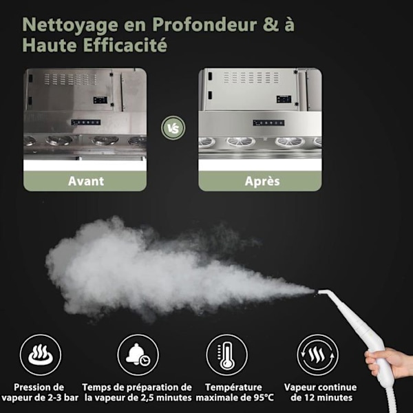 COSTWAY Portabel handhållen ångtvätt 1000W Vattentank 300ml 10 Tillbehör Temperatur 95°C Tryck 3 Bar Vit+Grön Vit+grön