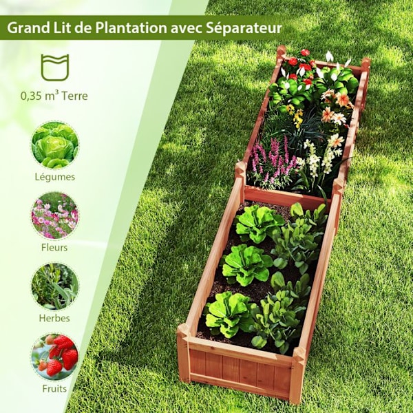 COSTWAY Firkantet Plantekasse i Fyrretræ med Separator, Drænsystem, Foder, Grøntsager Blomster Urter, Brun Rustik brun