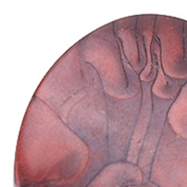 6 stk./sett Stemmeskruer Maskinhoder Akrylknapper for Gitar (#5)