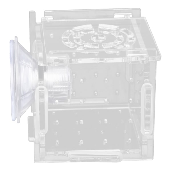 Fiskeisolationsboks Akryl Fiskeopdrætsboks Akvarium Rugeri til Babyfisk Rejer Enkelt Mini Boks 6x6x6