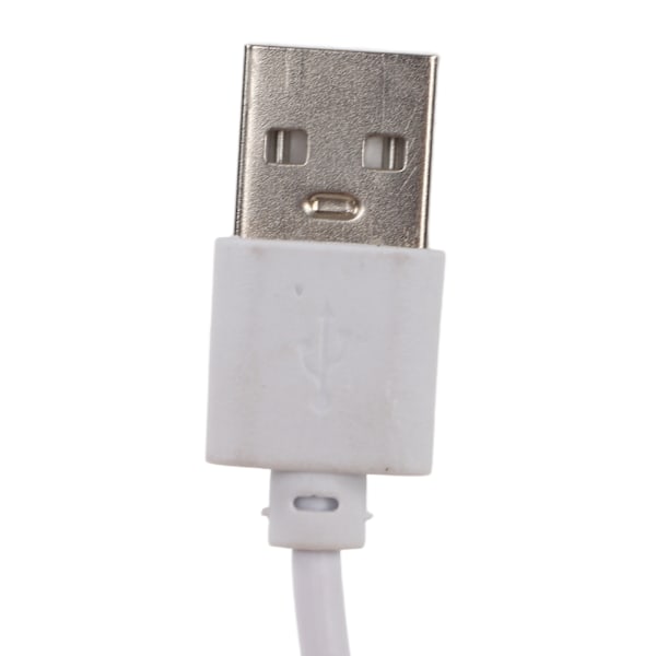 LED-ljusbas i trä, miljövänlig, elegant stil, robust, hållbar, bred användning, färgad LED-bas