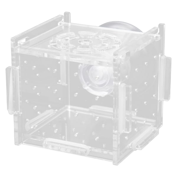 Fiskeisolationsboks Akryl Fiskeopdrætsboks Akvarium Rugeri til Babyfisk Rejer Enkelt Mini Boks 6x6x6