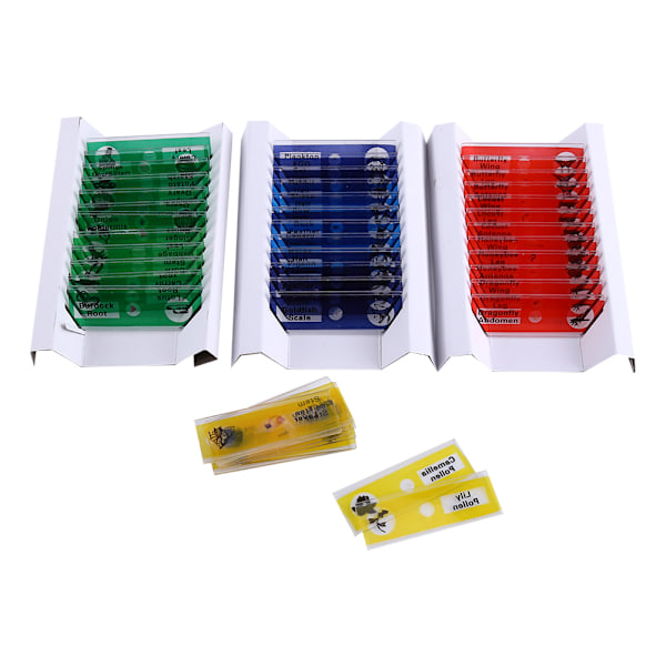 Set med preparerade mikroskopglas av plast, djur, insekter, växter, blommor, 48 st