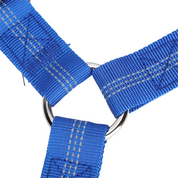 Justerbart nackstöd för husdjur Säkerhetsbälte Hund Nylon Reflex Säkerhetsbälte för Bil Blå