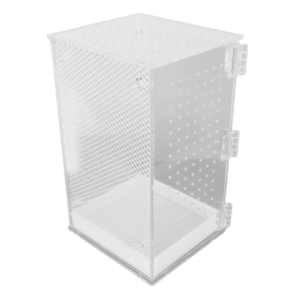 Reptil Terrarium Tank Akryl Högtransparent Klar Habitat Tank för Leopardgecko Orm Groda L