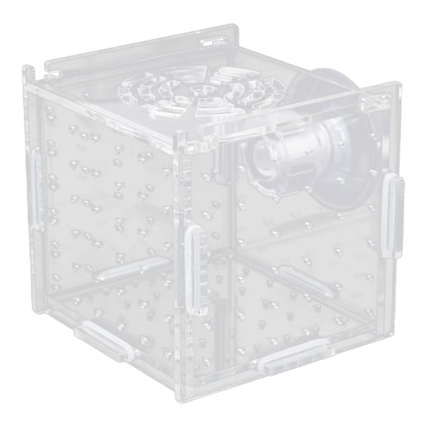 Fiskeisolationsboks Akryl Fiskeopdrætsboks Akvarium Rugeri til Babyfisk Rejer Enkelt Mini Boks 8x8x8
