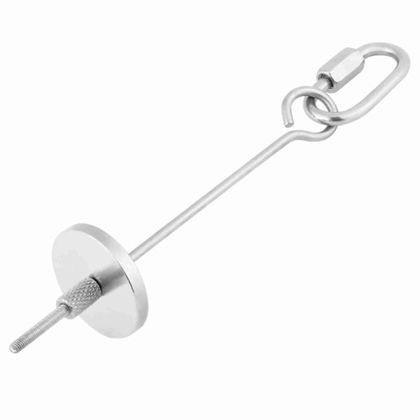 Fruktstickhållare i rostfritt stål för papegojor, frukt, grönsaker, smådjur, fågel leksak #2