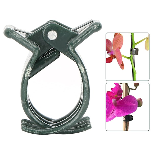 100 st Plantclips i Plast för Växter, Stöd för Fixering av Klipp, Klämma för Orkidéblommor