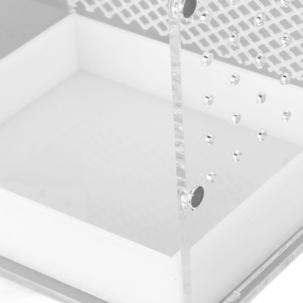 Reptil Terrarium Tank Akryl Högtransparent Klar Habitat Tank för Leopardgecko Orm Groda L