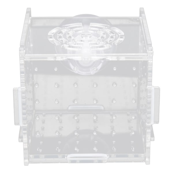 Fiskeisolationsboks Akryl Fiskeopdrætsboks Akvarium Rugeri til Babyfisk Rejer Enkelt Mini Boks 8x8x8