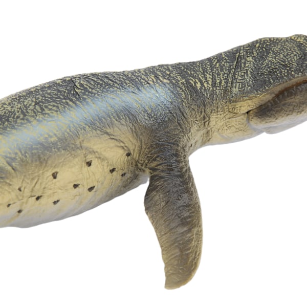 Simulerings Gul Kronosaurus Dinosaur Model Pædagogisk Dinosaur Model Legetøj til Børn Gul Kronosaurus Dinosaur Model